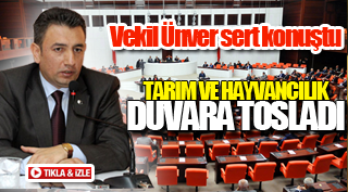 TARIM VE HAYVANCILIK DUVARA TOSLADI