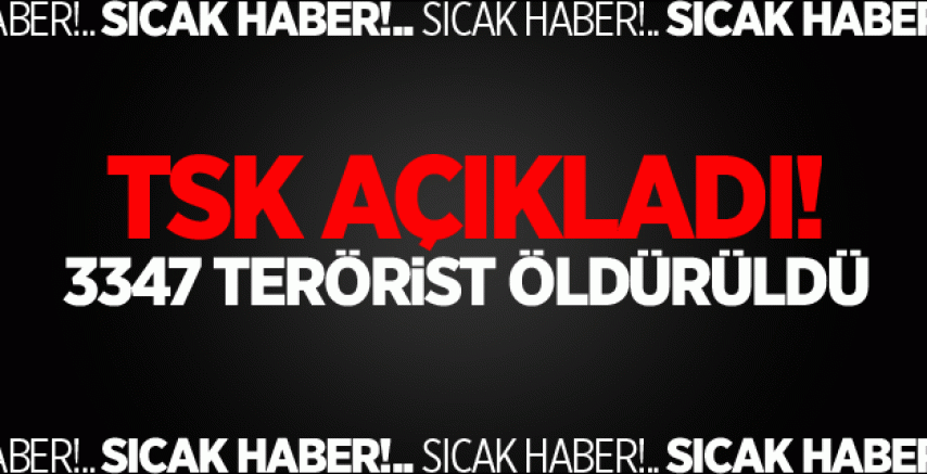 TSK açıkladı! 3347 terörist öldürüldü