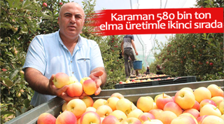 Türkiye’nin elma deposu Karaman’da erkenci elma hasadı başladı