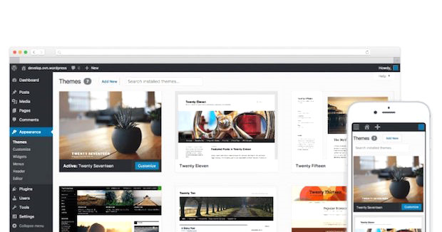 Wordpress Tüm Sitelerin Yüzde 30'unda Kullanılıyor