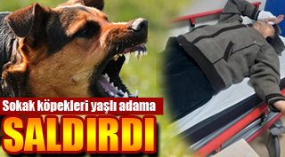 YAŞLI ADAMI VATANDAŞLAR KURTARDI !